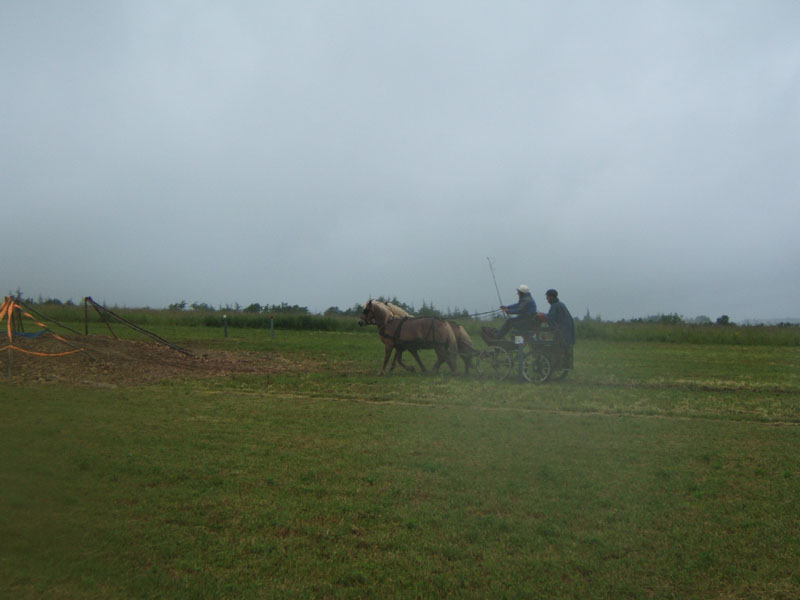 20080525_thezac_trec_attelage0315