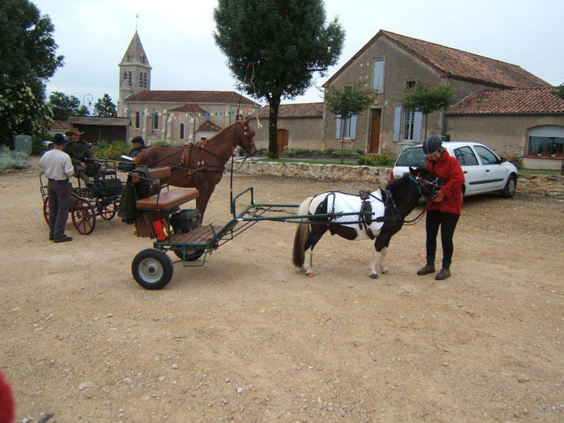 20080525_thezac_trec_attelage0328