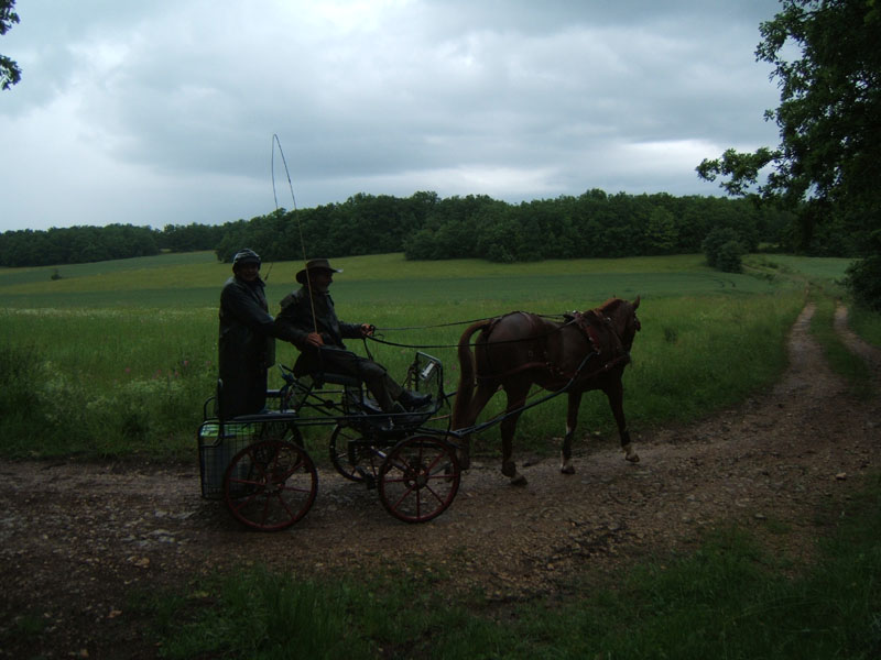 20080525_thezac_trec_attelage0368
