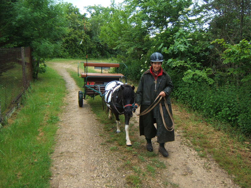 20080525_thezac_trec_attelage0371