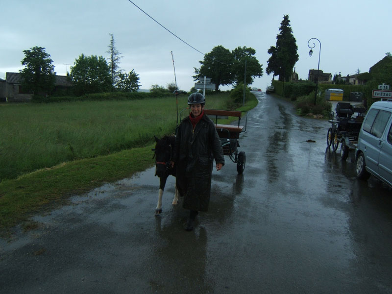 20080525_thezac_trec_attelage0377