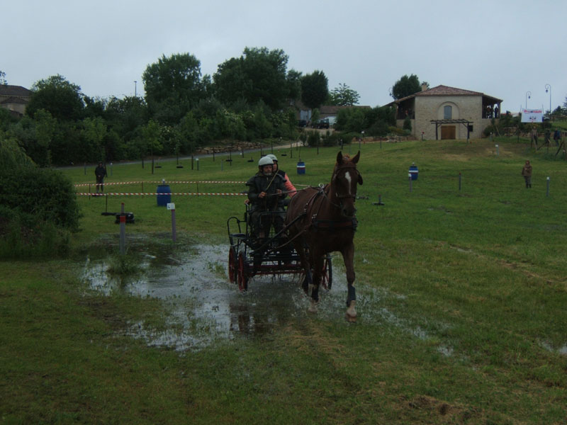 20080525_thezac_trec_attelage0385