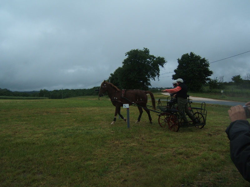 20080525_thezac_trec_attelage0386