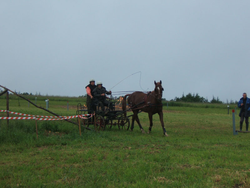 20080525_thezac_trec_attelage0400