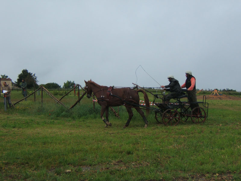 20080525_thezac_trec_attelage0401