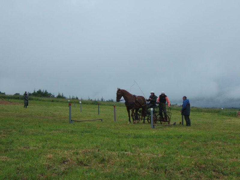 20080525_thezac_trec_attelage0408