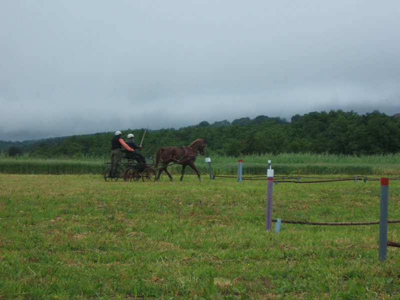 20080525_thezac_trec_attelage0411