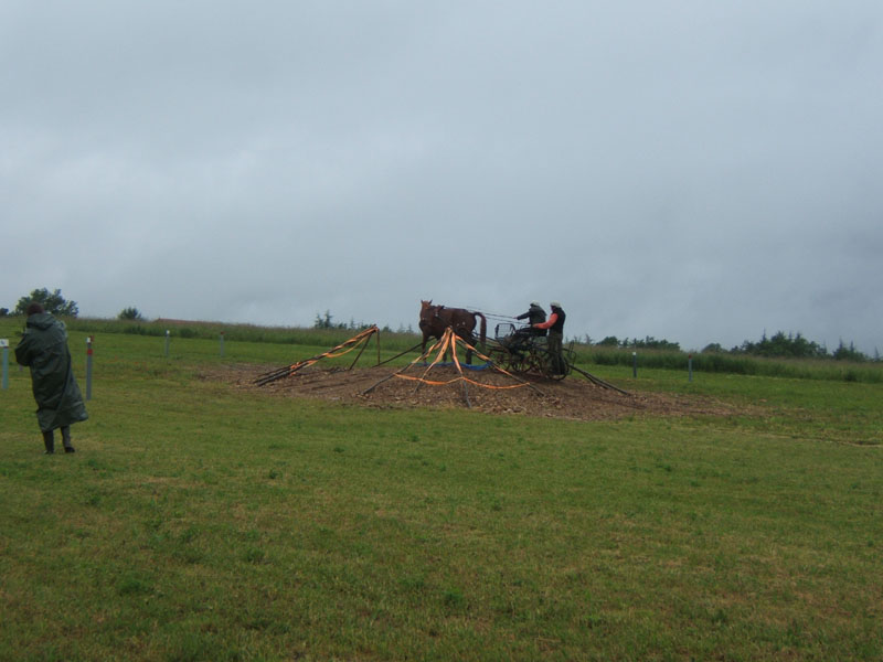 20080525_thezac_trec_attelage0422