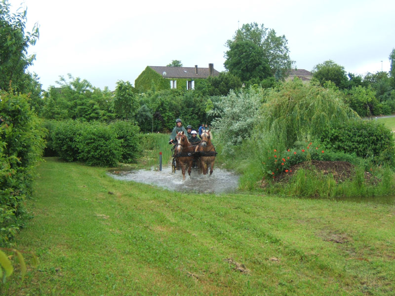 20080525_thezac_trec_attelage0431