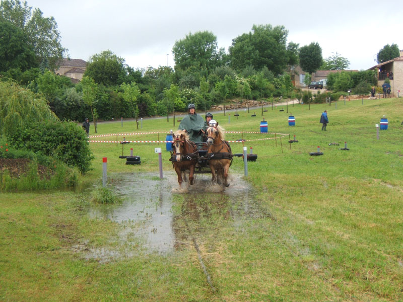 20080525_thezac_trec_attelage0437
