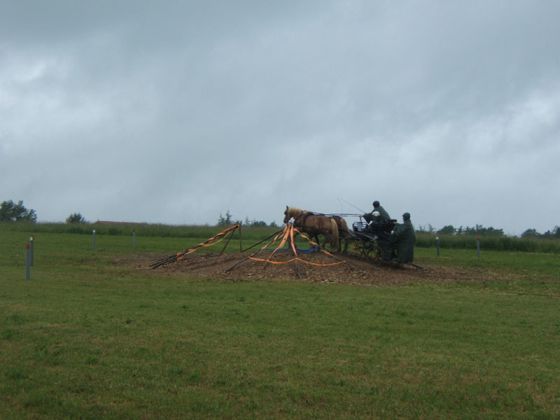 20080525_thezac_trec_attelage0481