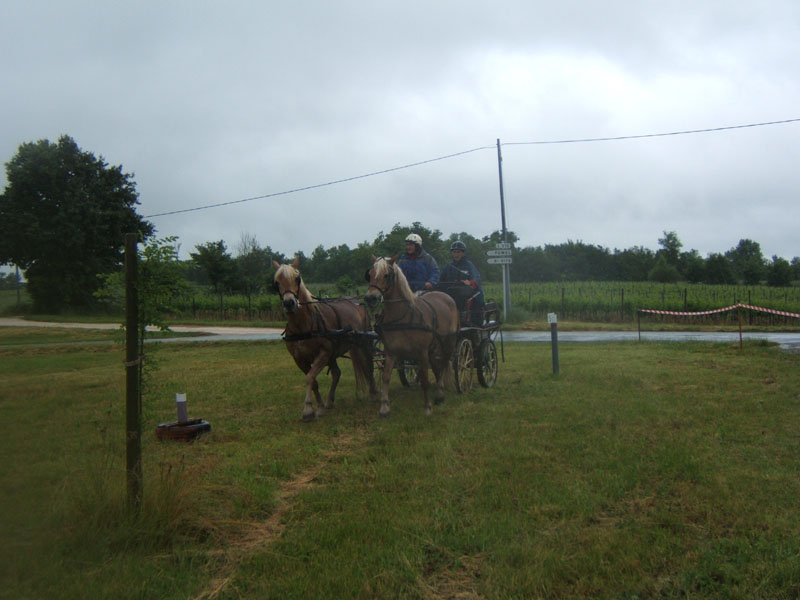 20080525_thezac_trec_attelage0500