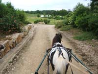 20080525_thezac_trec_attelage0032