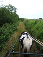 20080525_thezac_trec_attelage0036