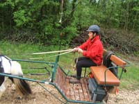 20080525_thezac_trec_attelage0044