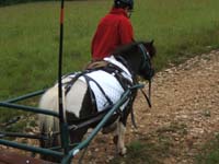 20080525_thezac_trec_attelage0060