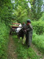 20080525_thezac_trec_attelage0072