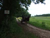 20080525_thezac_trec_attelage0080