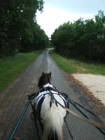 20080525_thezac_trec_attelage0092