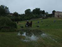 20080525_thezac_trec_attelage0104