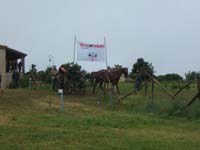 20080525_thezac_trec_attelage0124
