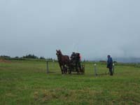 20080525_thezac_trec_attelage0132