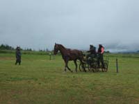 20080525_thezac_trec_attelage0144