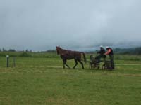 20080525_thezac_trec_attelage0152