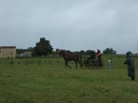 20080525_thezac_trec_attelage0156