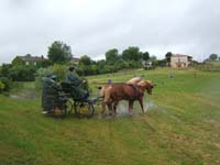 20080525_thezac_trec_attelage0168