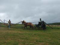 20080525_thezac_trec_attelage0204