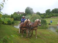 20080525_thezac_trec_attelage0248