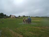 20080525_thezac_trec_attelage0260