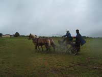 20080525_thezac_trec_attelage0300