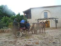 20080525_thezac_trec_attelage0319