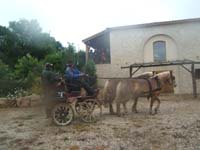 20080525_thezac_trec_attelage0320