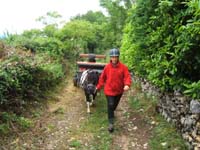 20080525_thezac_trec_attelage0353