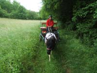 20080525_thezac_trec_attelage0356