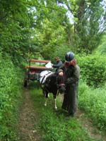 20080525_thezac_trec_attelage0360