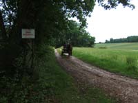 20080525_thezac_trec_attelage0366