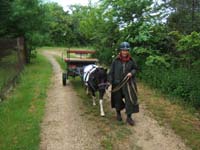 20080525_thezac_trec_attelage0371