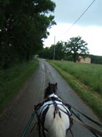 20080525_thezac_trec_attelage0375