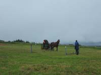 20080525_thezac_trec_attelage0405