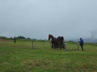 20080525_thezac_trec_attelage0407