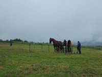 20080525_thezac_trec_attelage0408