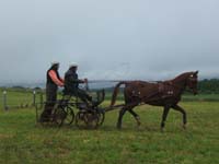20080525_thezac_trec_attelage0409