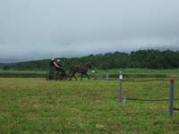 20080525_thezac_trec_attelage0411