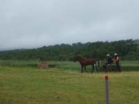 20080525_thezac_trec_attelage0420