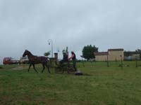 20080525_thezac_trec_attelage0424