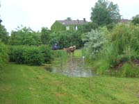 20080525_thezac_trec_attelage0489